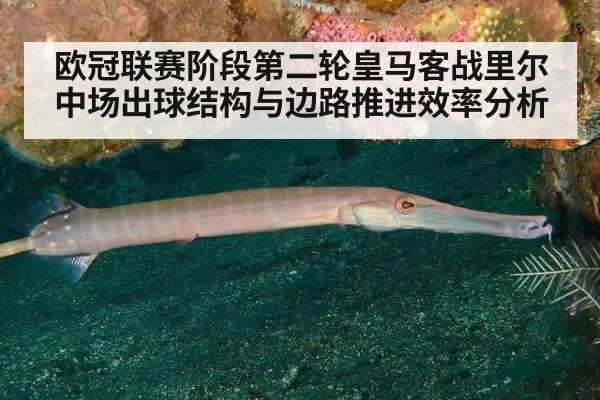 欧冠联赛阶段第二轮皇马客战里尔 中场出球结构与边路推进效率分析